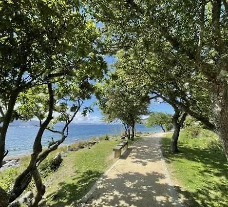 Mar De Cruz
